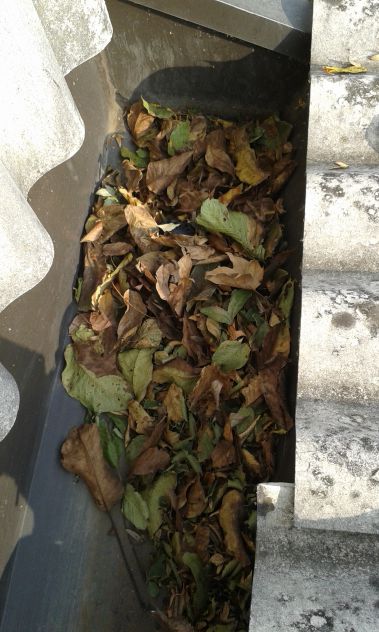 Pulizia gronde e manutenzione tetti - Foto 2