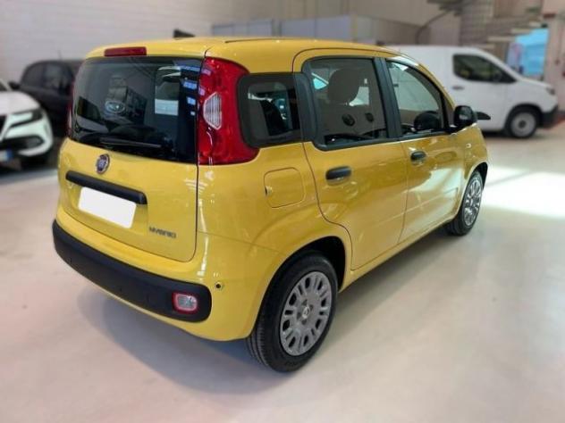 FIAT Panda APERTI AD AGOSTO rif. 24016498 - Foto 3