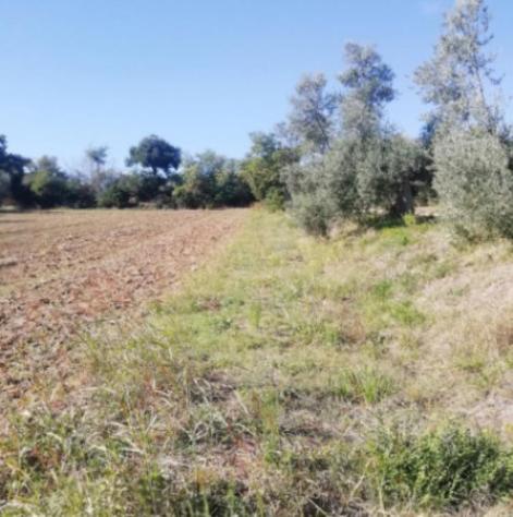Immobile in asta di 48 m², box auto in vendita a Montecosaro - Foto 3