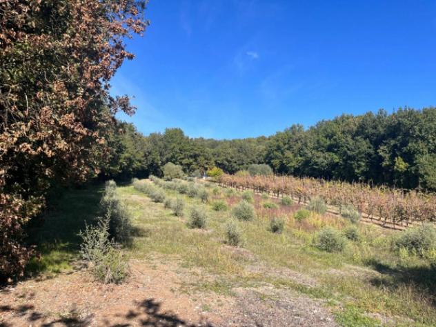 Immobile in asta di 684931 m² in vendita a Francolise - Foto 3