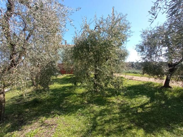 Casa singola in vendita a Marti - Montopoli in Val d'Arno 290 mq Rif: 1104734 - Foto 7
