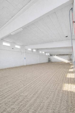 Complesso immobiliare adibito ad Azienda Agricola con Centro Ippico - Foto 5