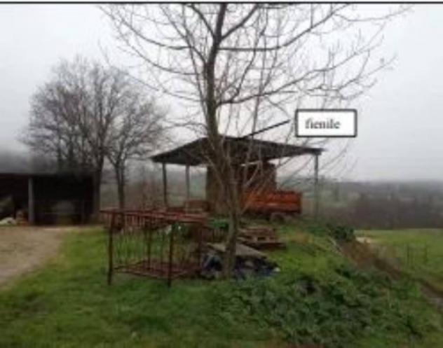 Immobile in asta di 17905 m² in vendita a Castell'Azzara - Foto 2