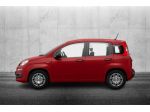 FIAT Panda 1.0 FireFly S&S Hybrid rif. 21647357