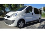 RENAULT Trafic  2.0 dCi/115 PC-TN Passenger  9 POSTI rif. 10231934