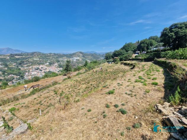 Vallebona VENDESI RUSTICO - Foto 12