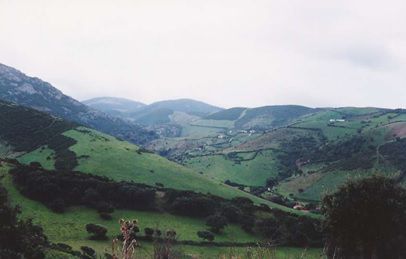 Terreno agricolo nord Sardegna - Gallura - Foto 2