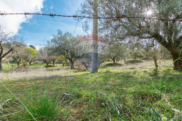 Terreno in vendita a Piazza Armerina - Foto 3