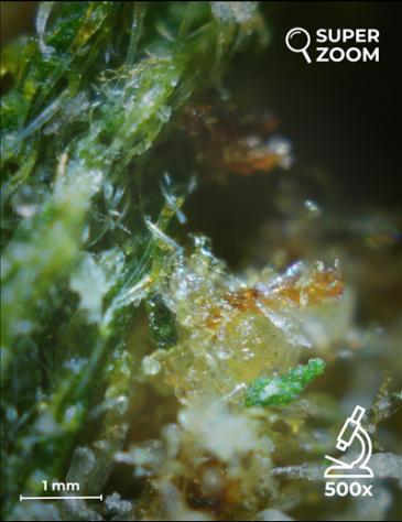 Gorilla Glue - Foto 4