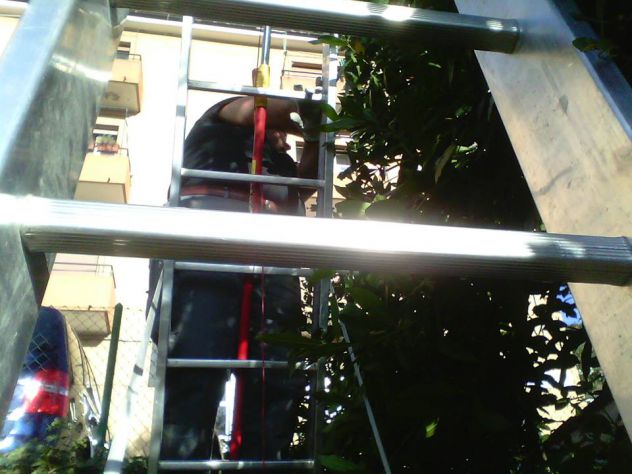 GIARDINIERE - Foto 3