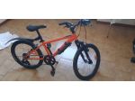 Bicicletta ragazzo