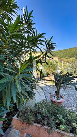 Terratetto in vendita a Bergeggi - Foto 20