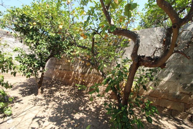 INDIPENDENTE CON GIARDINO VIA MAZZINI SAVA - Foto 10