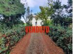Casa singola in vendita a Selvatelle - Terricciola 270 mq  Rif: 1337548