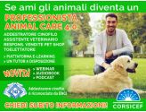 Corsi per PROFESSIONISTA ANIMAL CARE 4.0