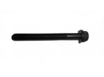 9820 206 VITE FISSAGGIO TESTA MOTORE LOMBARDINI LDW502 LGW523