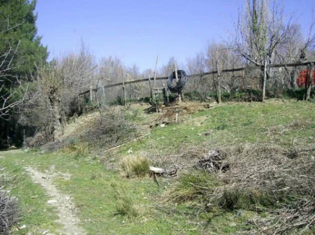 Immobile in asta di 4300 m² in vendita a Cerchiara di Calabria - Foto 8