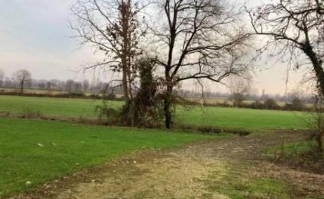 Immobile in asta di 39370 m² in vendita a Goito - Foto 10
