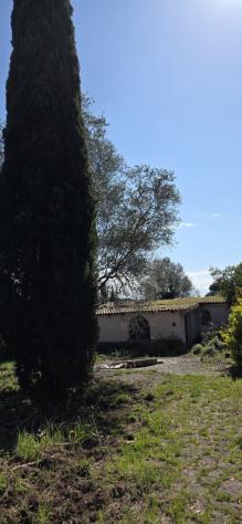 Uliveto in vendita a Morlupo - Foto 3