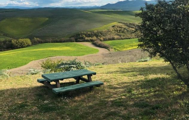 Terreno agricolo in vendita a Peccioli 10000 mq  Rif: 1293051