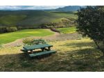 Terreno agricolo in vendita a Peccioli 10000 mq  Rif: 1293051