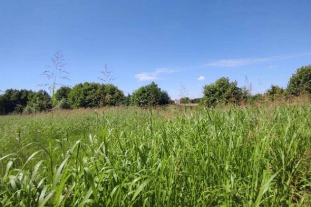 Immobile in asta di 6379 m² in vendita a Pojana Maggiore - Foto 5
