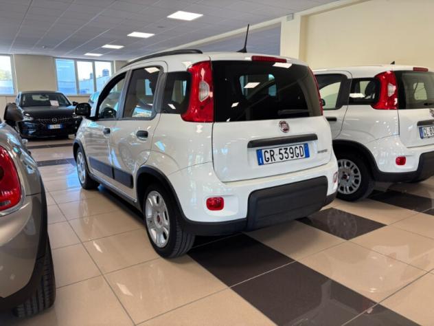 FIAT Panda 3ª serie Panda 1.0 FireFly S&S Hybrid - Foto 4
