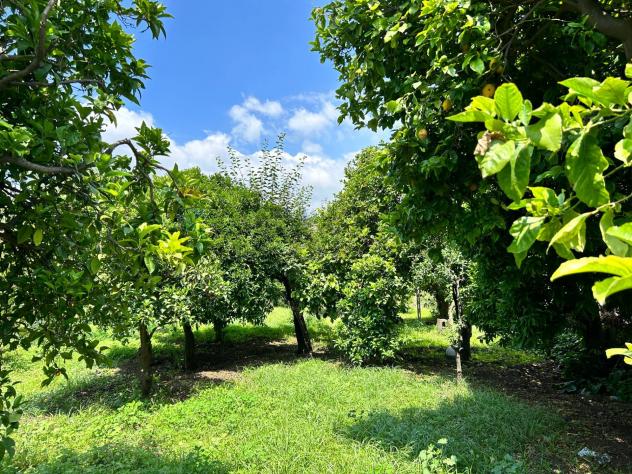 Terreno in vendita a Aci Sant'Antonio - Foto 2