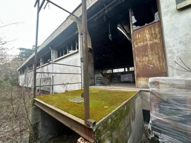 Immobile in asta di 1537 m² in vendita a Casalecchio di Reno - Foto 6