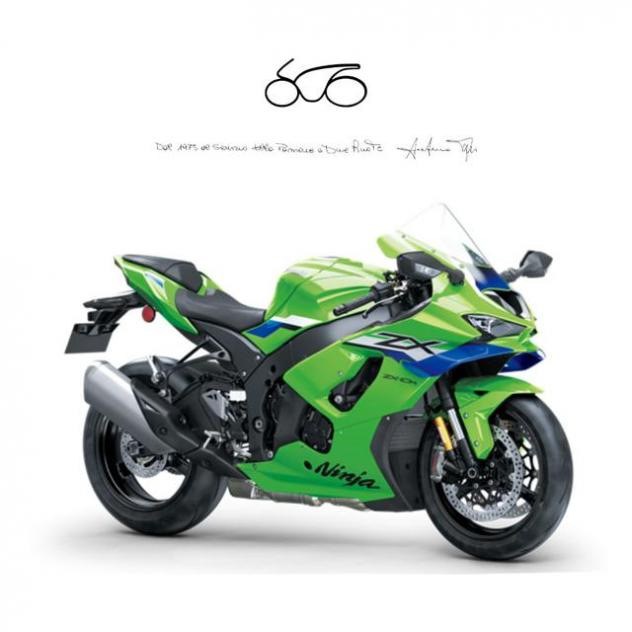 KAWASAKI Ninja 1000 ZX-10R - rif. 23017864