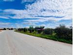 Rif: 2659 - Lotto di terreno agricolo con uliveto in Contrada Bastonaca – V &hellip;