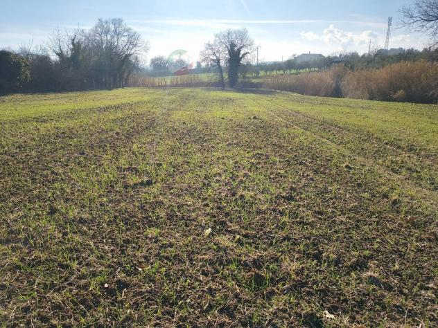Terreno Agricolo - Riccione . Rif.: C 110 - Foto 13