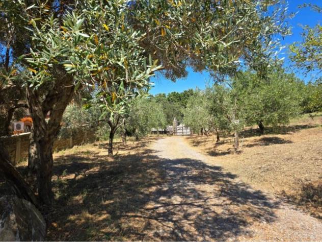 Villa vista mare in zona panoramica a Civitavecchia - Foto 6