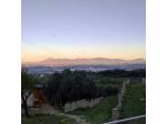 Il Glicine