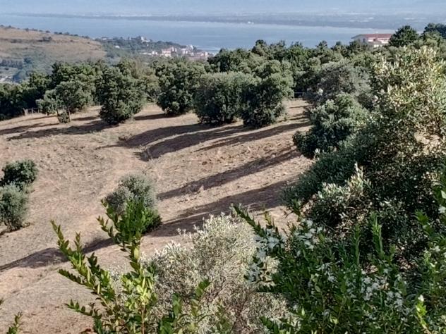 Agricolo in Via Sorrento - Foto 5