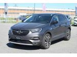 OPEL Grandland X 1.6 diesel Ecotec Start&Stop Ultimate rif. 23750424