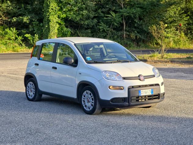 Fiat Panda 1.0 FireFly S&S Hybrid CV-69 E6 Manuale NEO 2024