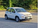 Fiat Panda 1.0 FireFly S&S Hybrid CV-69 E6 Manuale NEO 2024