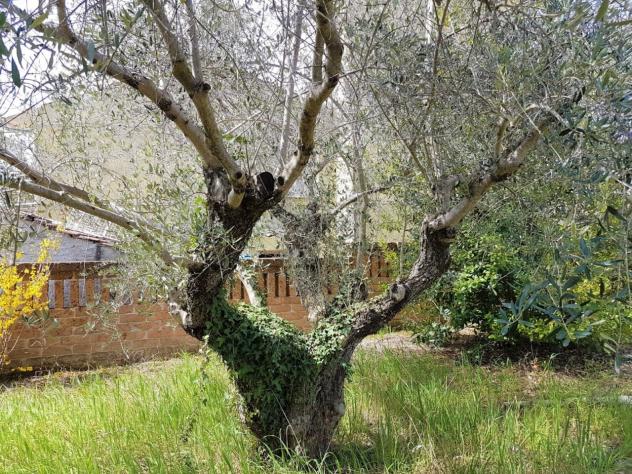 Villa in vendita a Campli - Foto 20