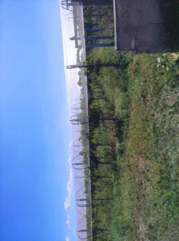 Immobile in asta di 100 m² in vendita a Licodia Eubea - Foto 6