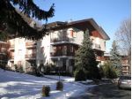 GRANDE BILOCALE E CANTINA IN PAESE!