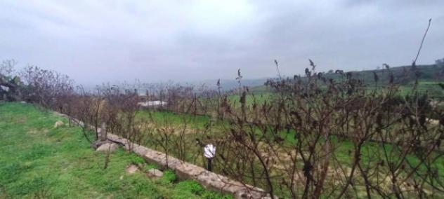 Immobile in asta di 8780 m² in vendita a Militello in Val di Catania - Foto 2