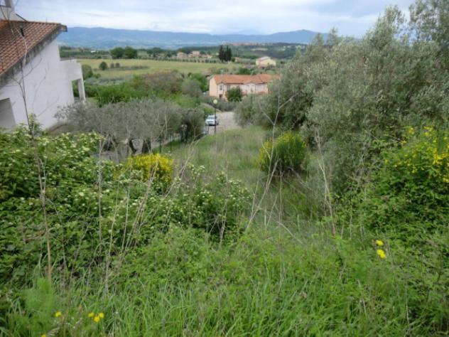 Immobile in asta di 1005 m² in vendita a Montegabbione - Foto 3