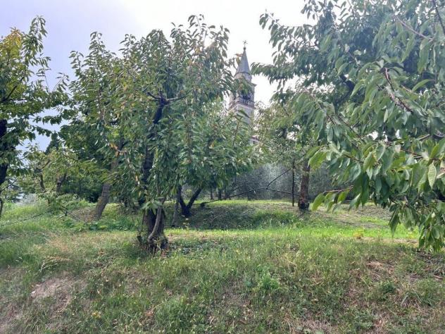 Uliveto in vendita a Castegnero - Foto 6