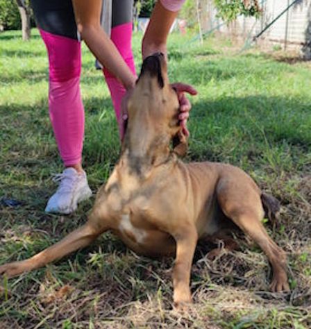 Milla - Foto 2