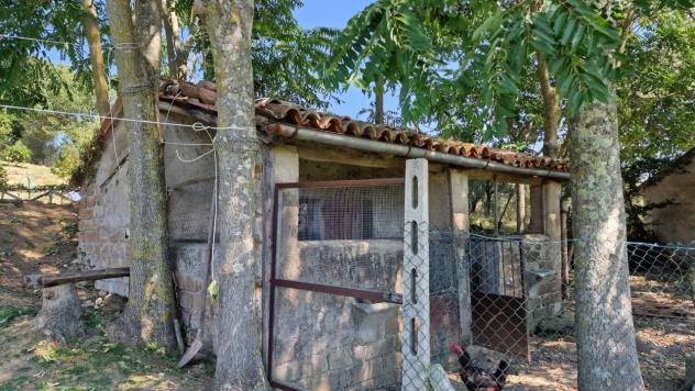 Porzione di casa in vendita a Montecastrilli - Foto 8