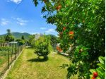 Casa singola in vendita a San Giuliano Terme 120 mq  Rif: 1418966