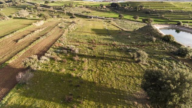 Terreno in vendita a Caltagirone - Foto 16