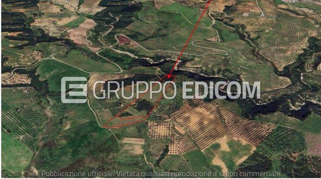 Terreno in vendita a Cropani - Rif. 4548420