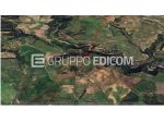 Terreno in vendita a Cropani - Rif. 4548420